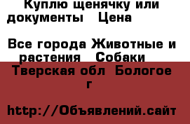 Куплю щенячку или документы › Цена ­ 3 000 - Все города Животные и растения » Собаки   . Тверская обл.,Бологое г.